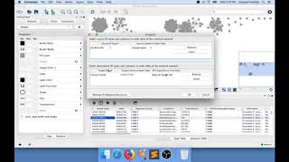 Adding custom node attributes to a SSN using the BridgeDB Cytoscape app