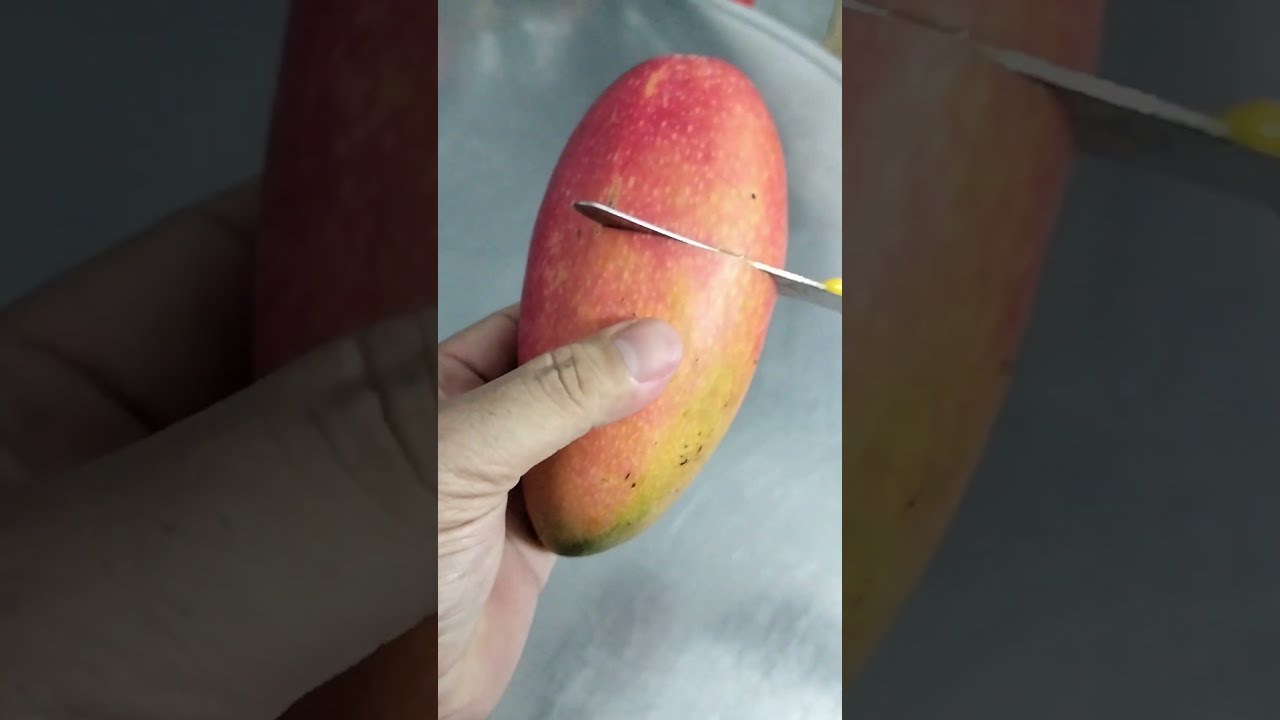 Golden Mango Cutting Fruit Mukbang Tropicalfruit Satisfying Shorts Fruitcutting Shortvideo