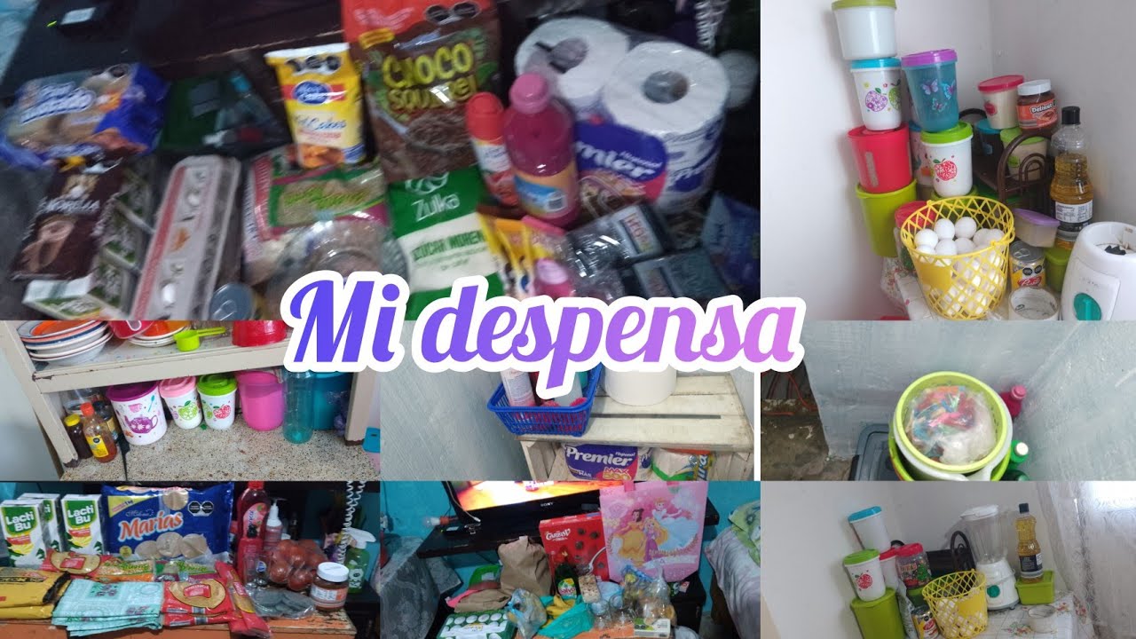 ✅ mi despensa y cómo la organizó fue de un presupuesto de 1500 pesos