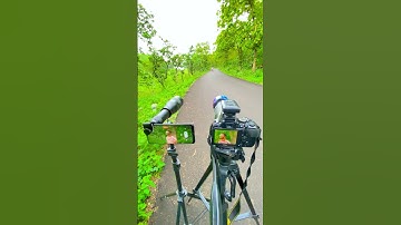 Nikon 70-300 mm lens vs 60X telephoto lens #short #shorts #ytshorts  #photography #camera #india