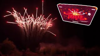 Celebrity [4K] Funke Rising Python 🐍- Singlerow Wealth