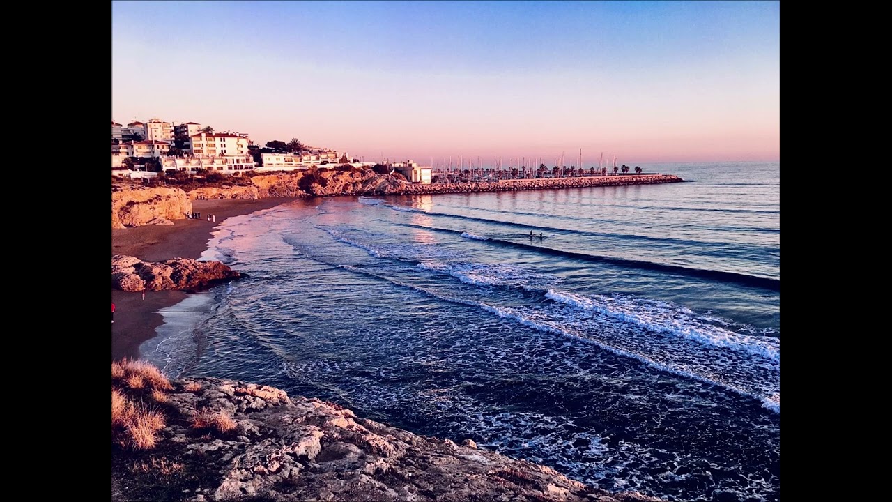 ABRAHAM HICKS How Does Ayahuasca Work