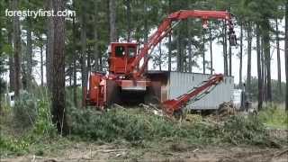 Morbark 2355 Chipharvester in Pine Plantation Part 2