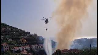 Helicóptero apaga fogo em Câmara de Lobos screenshot 4