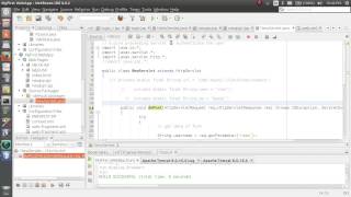 JSP Servlet Full Login Example on NetBeans Ubuntu