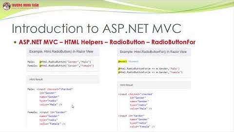 ASP.NET MVC (Lesson29) - ASP.NET MVC Với HtmlHelper RadioButton, RadioButtonFor | TRUONG MINH TUAN