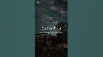 محمد اللحيدان تلاوه خاشعه 🎧♥️#محمد_اللحيدان #تلاوة_خاشعة #اكسبلور #quran#تيك_توك #تلاوات #راحة_نفسية