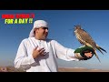 DUBAI EMIRATI FOR A DAY DESERT SAFARI VLOG ЁЯШН DUBAI EMIRATI FOR A DAY DESERT SAFARI VLOG ЁЯШН