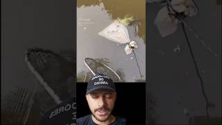 Pegou Um Peixe Gigante No Saco De Ceva