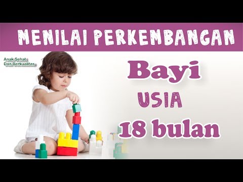 Video: Apakah yang perlu dilakukan oleh bayi pada usia 18 bulan?