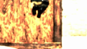 CS:S| rowan[G]`s sickest 1deag by mosh