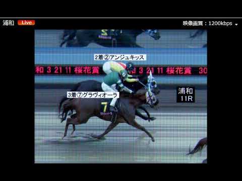 浦和競馬　桜花賞2018　２着の写真判定