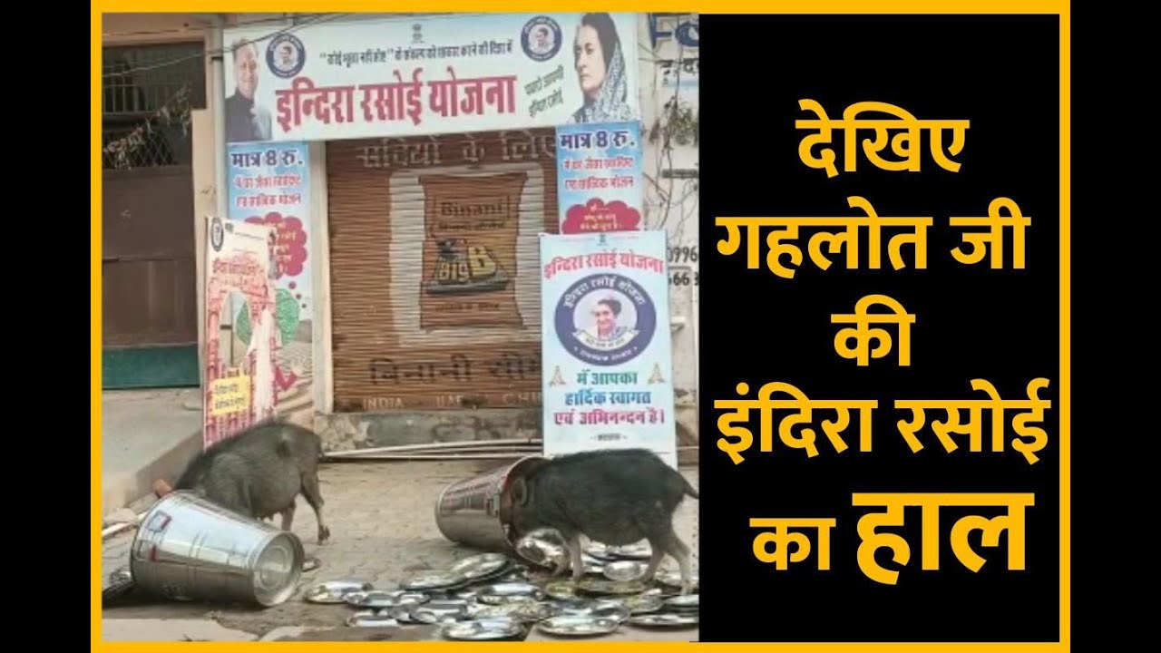 देखिए Gehlot जी की Indira Rasoi का हाल