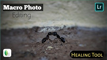 Macro Photo Editing on Snapseed & Lightroom | Using Healing and Selective Tool | thekokanesagar