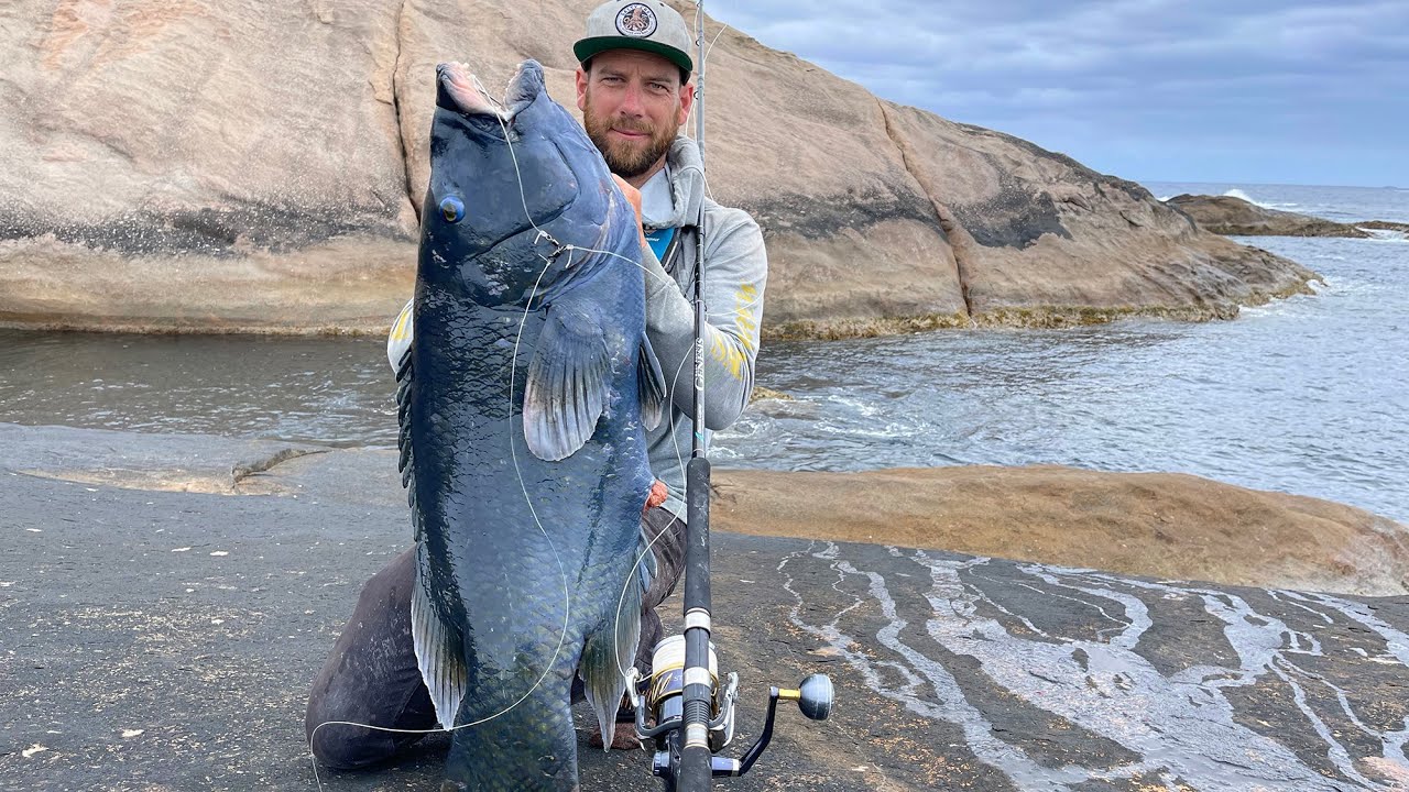 ОГРОМНЫЙ ГРОПЕР и много другой рыбы. День 3. Поездка на острова южного побережья.