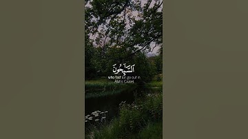 التائبون العابدون الحامدون🌿تلاوة خاشعة للقلوب 🌿للقارئ اسلام صبحي 🌿