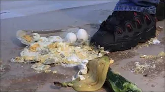 Food stomping with Osiris D3