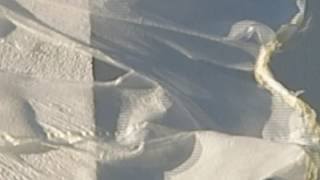 Download Lagu Kalt weht der Wind MP3