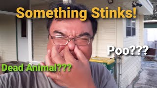 Mobile Home Smells Like Sewer Easy Fix