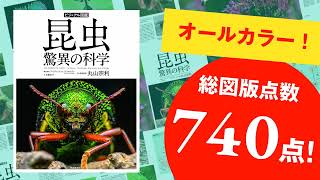 ビジュアル図鑑 昆虫 驚異の科学 :デイヴィッド・A