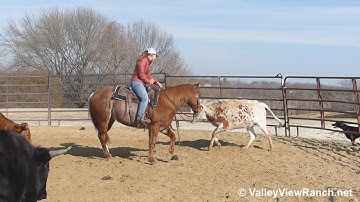 Smart Smooth Mate - working cows! - ValleyViewRanch.net