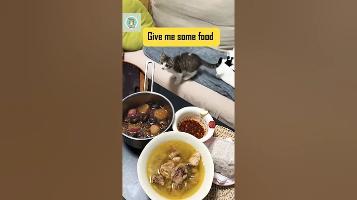 Video 11811641: cats catfood, cat fight funny, food catfood