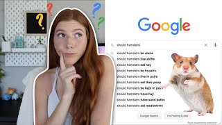 Answering the most GOOGLED Questions About Hamsters