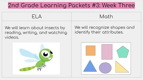 Insects and Shapes Learning Video