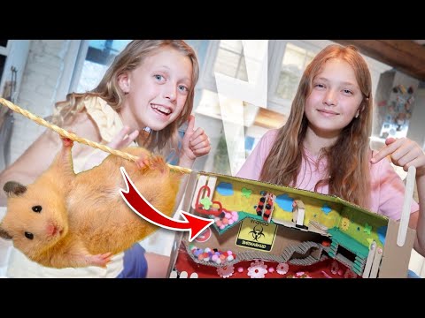 Video: Ce Poți Să-ți Hrănești Hamsterul