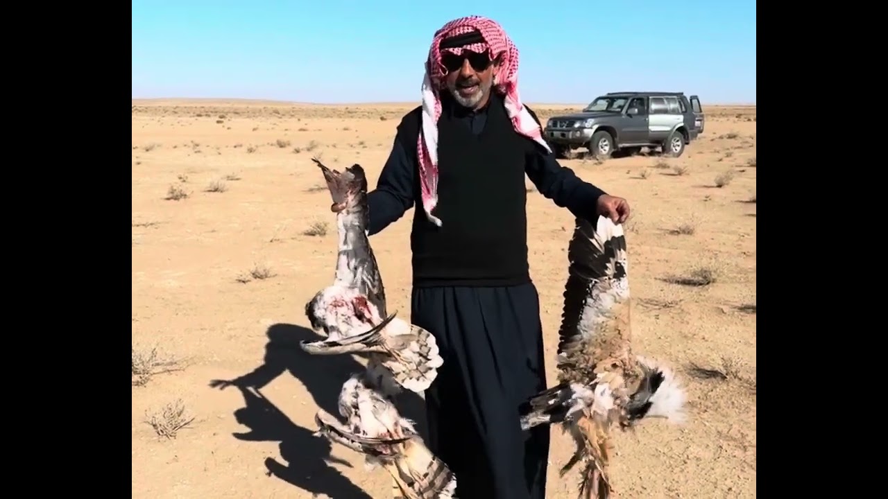 مقناص العراق حملة علي البراك 2024 الجزء الاول 1