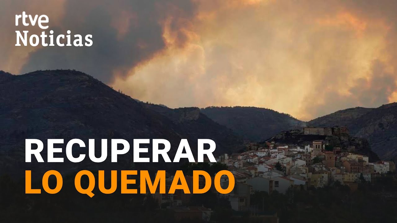 INCENDIOS: CUIDAR el SUELO y el AGUA, entre las CLAVES para RECUPERAR los MONTES | RTVE Noticias