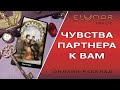 ЧУВСТВА ПАРТНЕРА К ВАМ | Расклад Таро, Гадание Онлайн