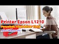 Mengapa Printer Epson L1210 Tidak Mengeluarkan Tinta