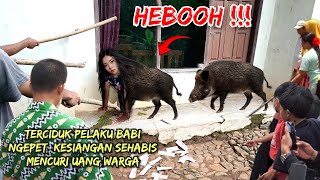 🔴 VIRAL !! BABI NGEPET KESIANGAN TERTANGKAP BERUBAH JADI MANUSIA (WANITA CANTIK )