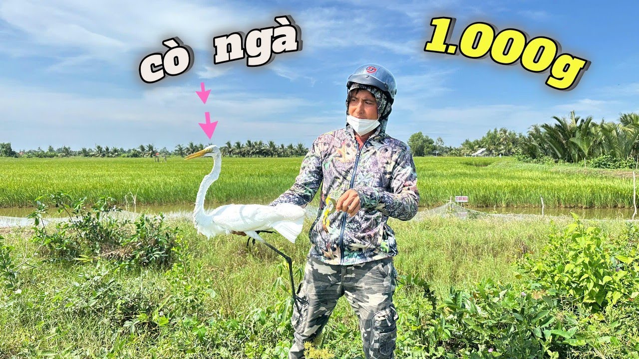 Chuyến đi săn đầy kịch tính kết hợp cùng team M72 và team Đảm Nguyễn