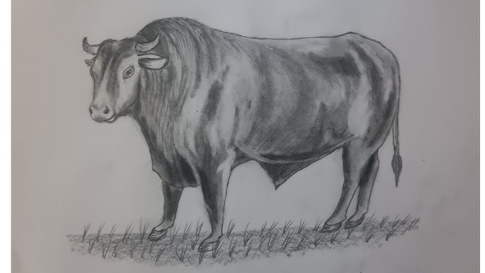 TUTORIAL: COMO DESENHAR UM CAVALO PÉROLAS DA INTERNET (D pesennezcírcuos  (7) DESENHE AS PERNAS DESENHE O ROSTO DESENHE OS PELOS TERMINE  ACRESCENTANDO OS RETOQUES FINAIS - iFunny Brazil