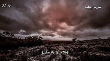 قرآن كريم بصوت القارئ: وديع اليمني || أجمل حالات واتس اب دينيه || تلاوة خاشعة 🌿