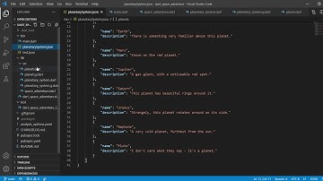 Dart Demonstration Read Json File with Comments