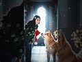 My Dog Became The Four-Legged Grinch! Christmas Chaos!