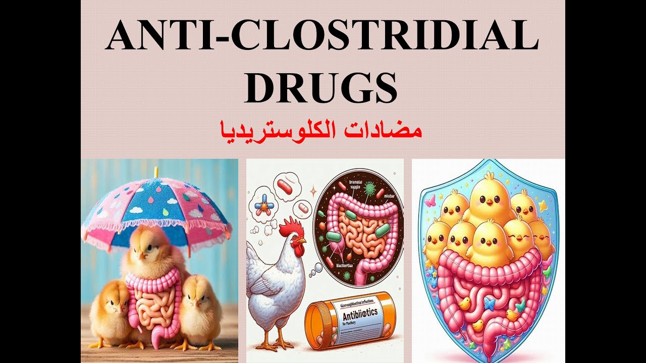 ANTI-CLOSTRIDIAL DRUGS  مضادات الكلوستريديا في الدواجن