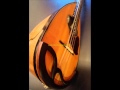 Dolphin Serie mandolin carlo Mazzaccara 2010