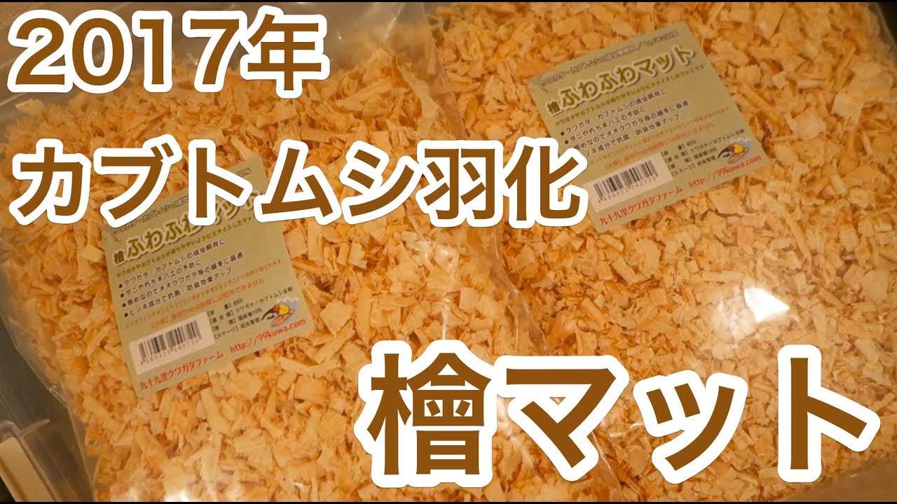 L Y ヒノキマット200リットル L Y様専用 ヒノキマット200リットル