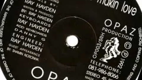 Ray Hayden - When Were Making Love
