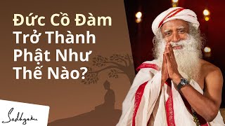 Lễ Phật Đản - Đức Cồ Đàm Trở Thành Phật Như Thế Nào? | Sadhguru Tiếng Việt