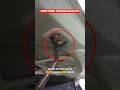 How to Protect Car from Rats | Lakhon ke Chune Se Bacho