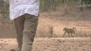 Far Cry 2 Africa Dev Diary #2