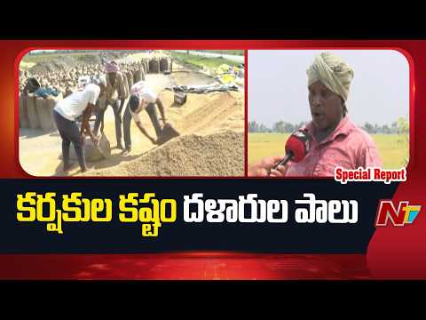 Kakinada: కాకినాడ జిల్లాలో కౌలు రైతులకు కొండంత కష్టం | Special Report | NTV Telugu - NTVTELUGU