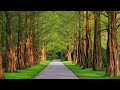 بدون حقوق مناظر طبيعيه مجانيه للمونتاج بدون حقوق طبع ونشر Beautiful Nature 