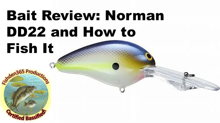 Bait Review: Norman DD22 Crankbait and How to Fish it!