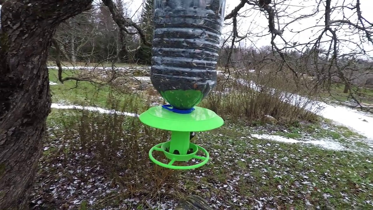 3D printed bird feeder YouTube